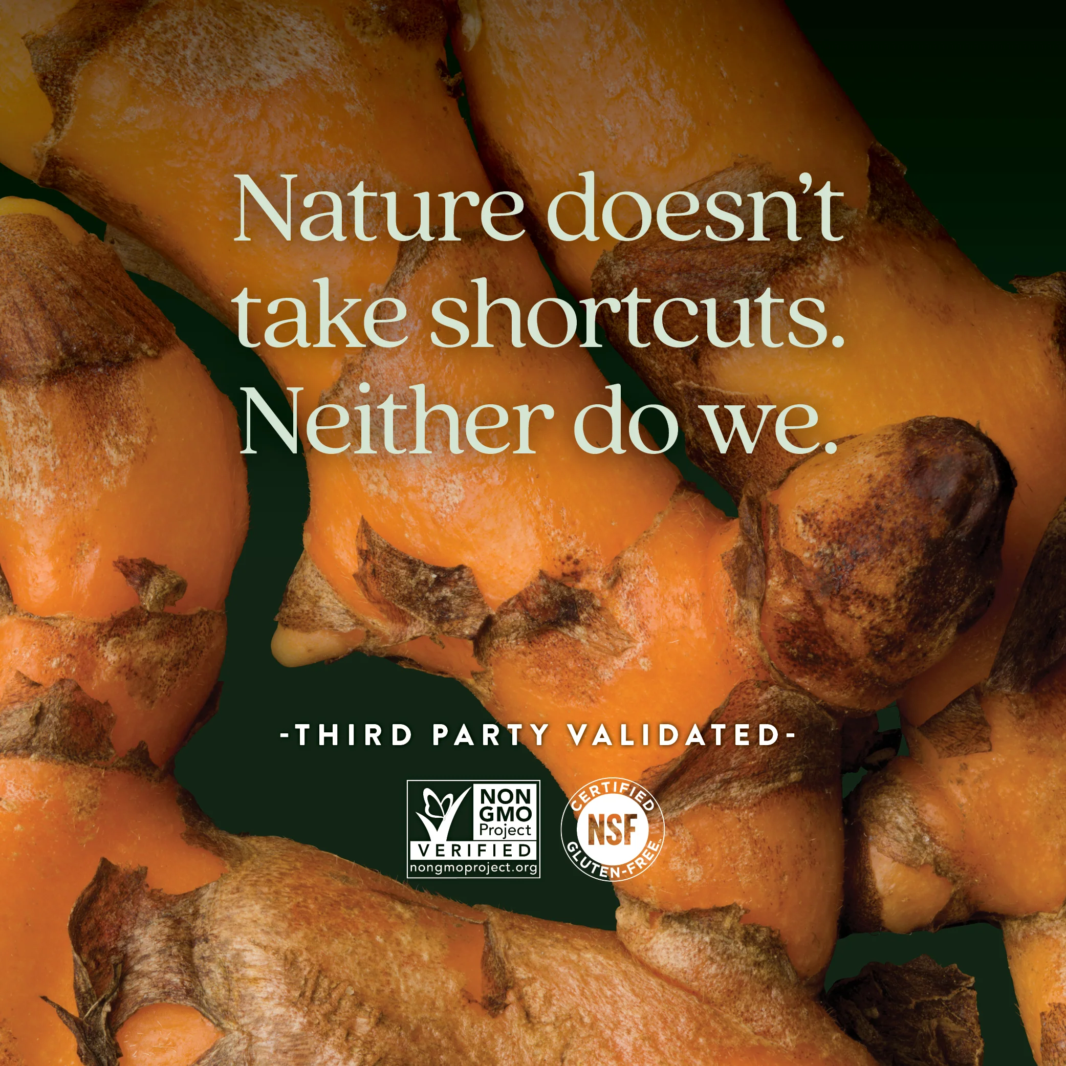Turmeric Force™ Nighttime - Image 5